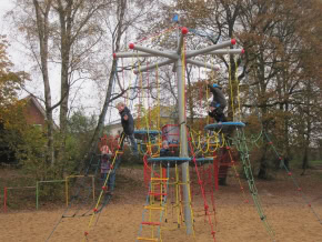 Vogelnestbaum_01