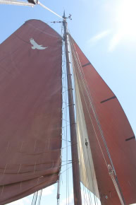 Ijsselmeer_04
