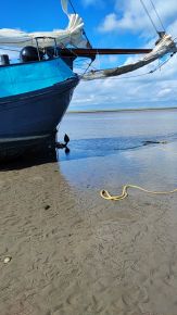IMG-20220727-WA0006